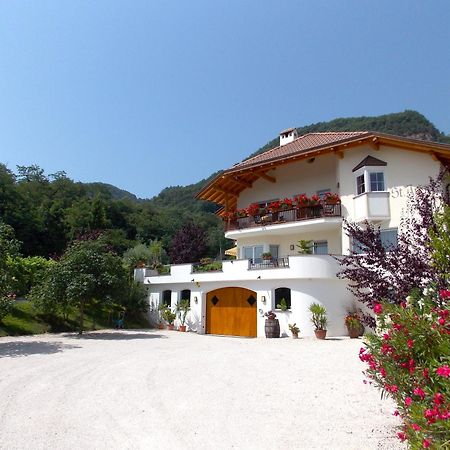 St. Josefhof Apartman Caldaro Kültér fotó